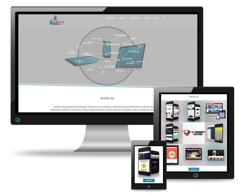 Transilvania Soft website - Cora Lupas - web design and development